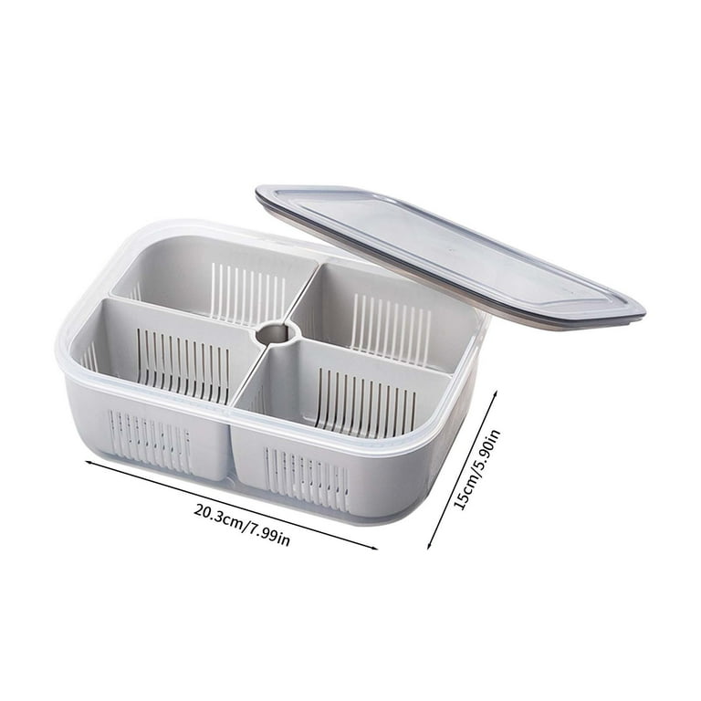 4 Compartment Multipurose Storage Box