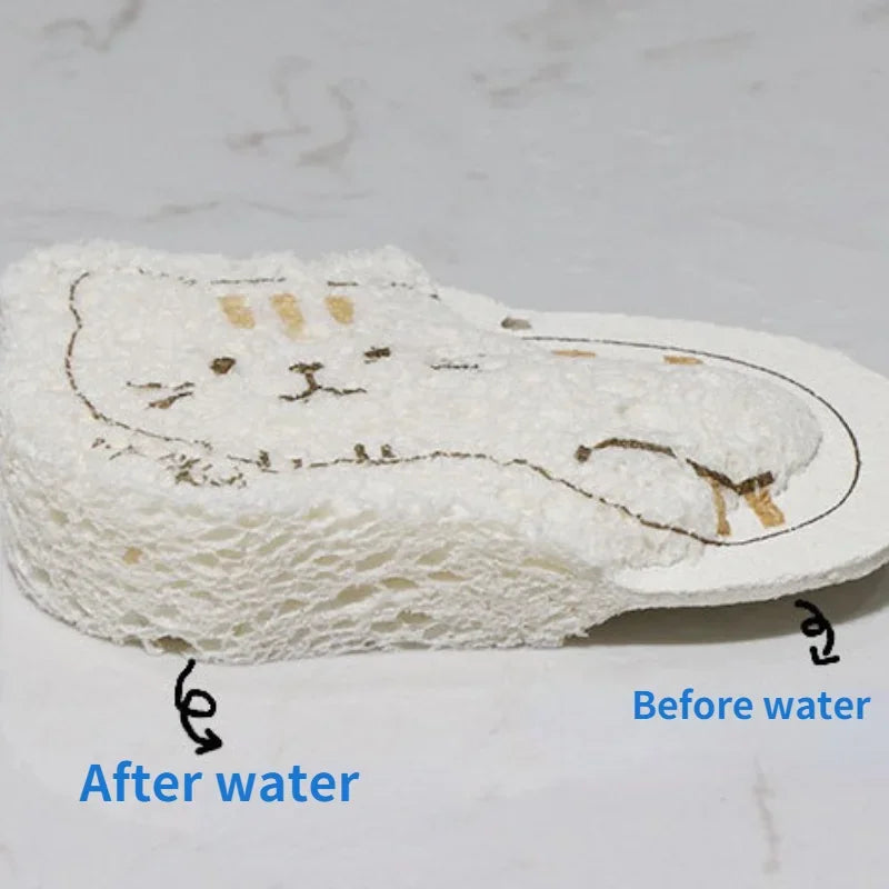 Compressed Wood Pulp Sponge