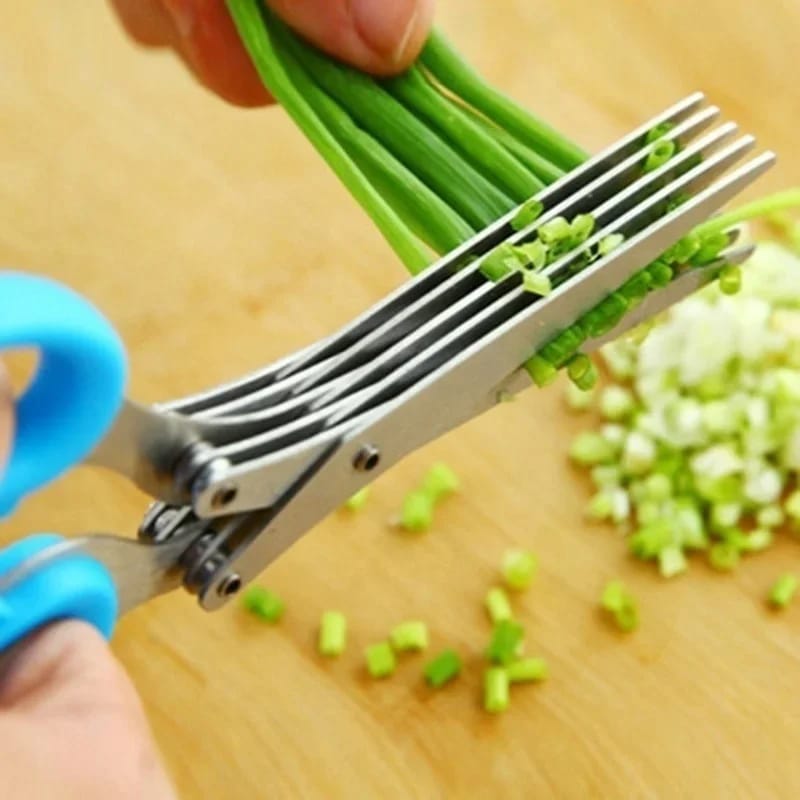 Stainless Steel 5 Blades Herb's Kitchen Scissor