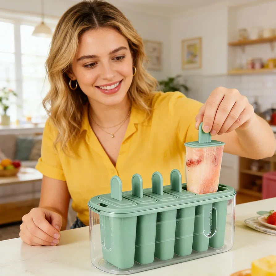 Silicone Popsicle Maker With Storage Box